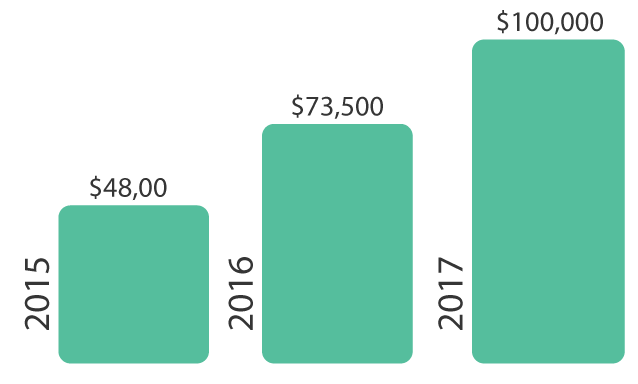graph showing how much money was donated in 2015, 2016, 2017